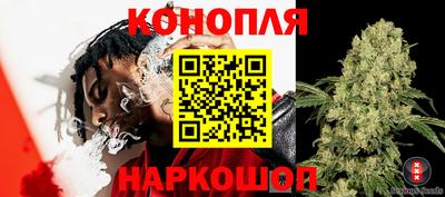 mdpv Дубна